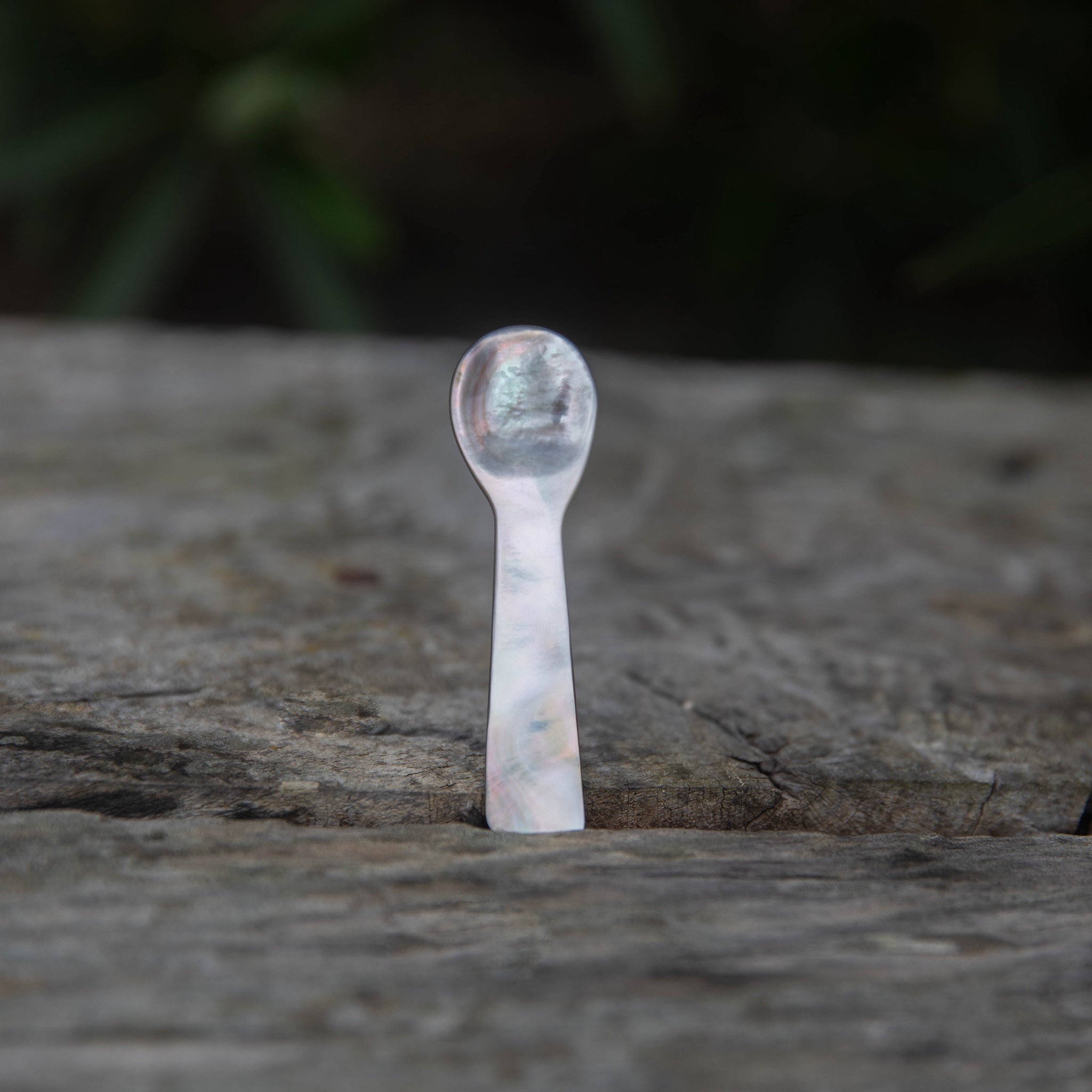 Leaves & Wood Solid Perfume Balm + Mother of Pearl Spoon