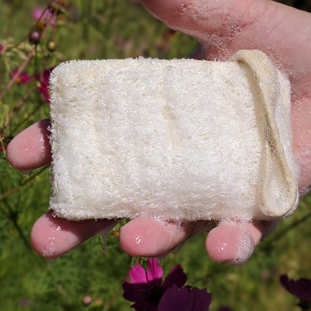 Eco Dish Washing Scrubbers 3 Pack - Loofah